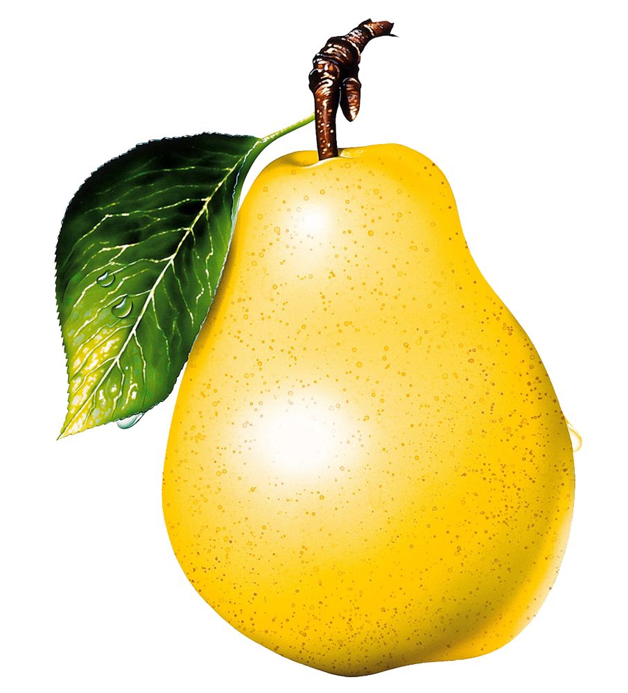 Ripe yellow pear PNG image    图片编号:3463