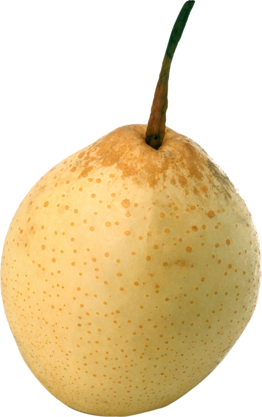 Ripe pear PNG image    图片编号:3464