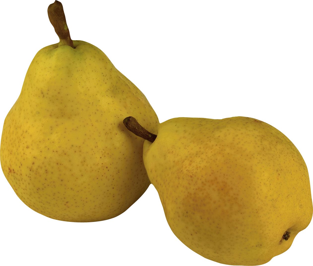 Ripe pear PNG image    图片编号:3467