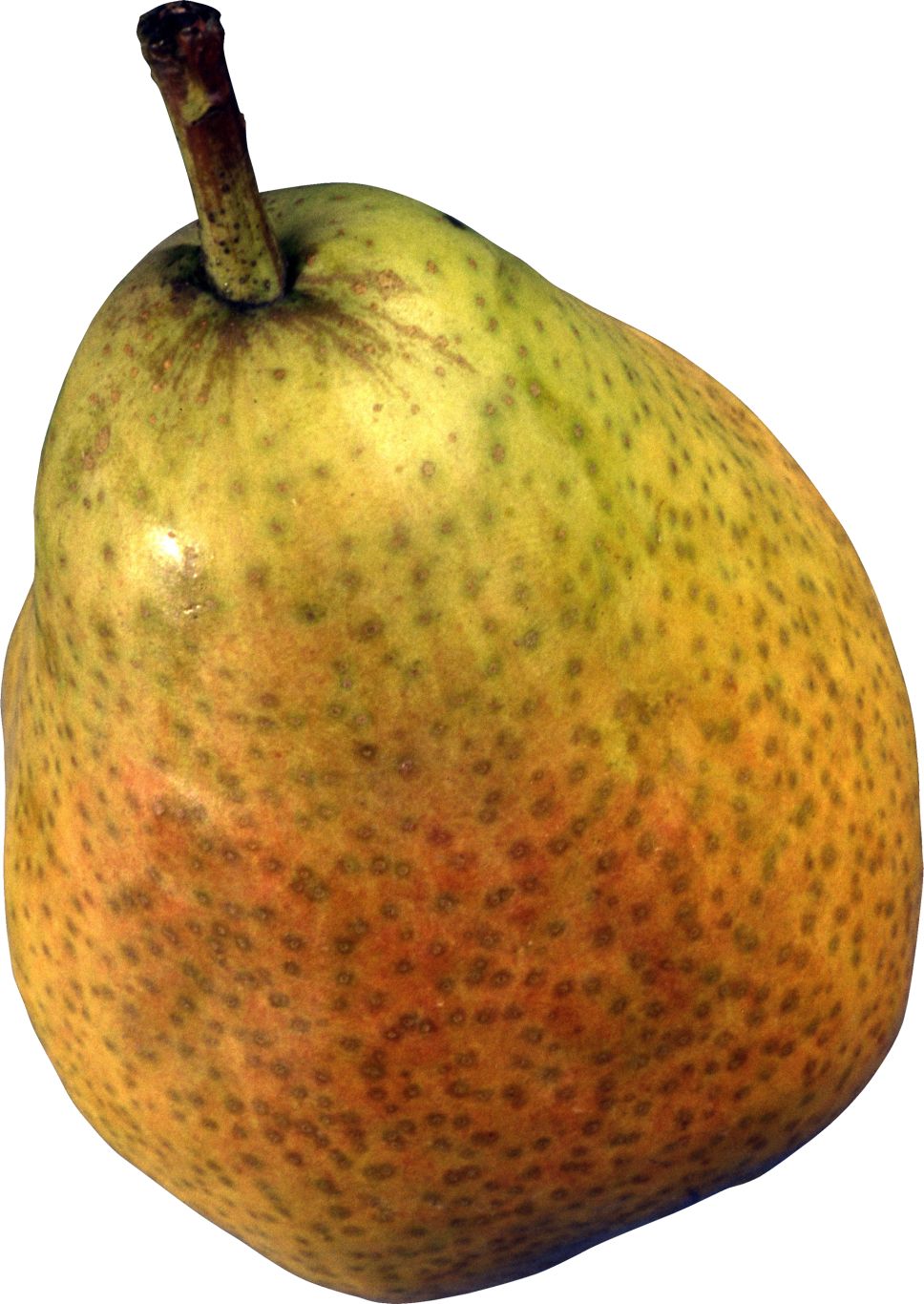 Pear PNG image    图片编号:3469