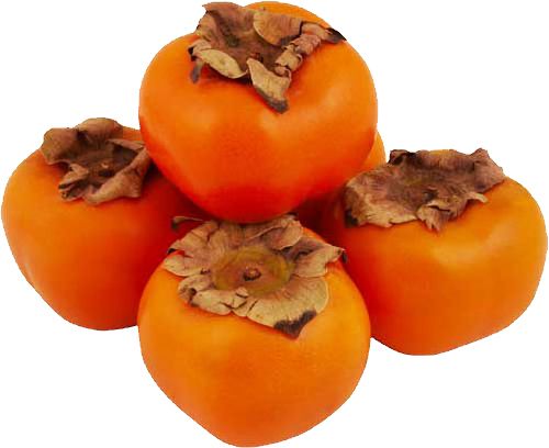 Persimmons PNG image    图片编号:9195