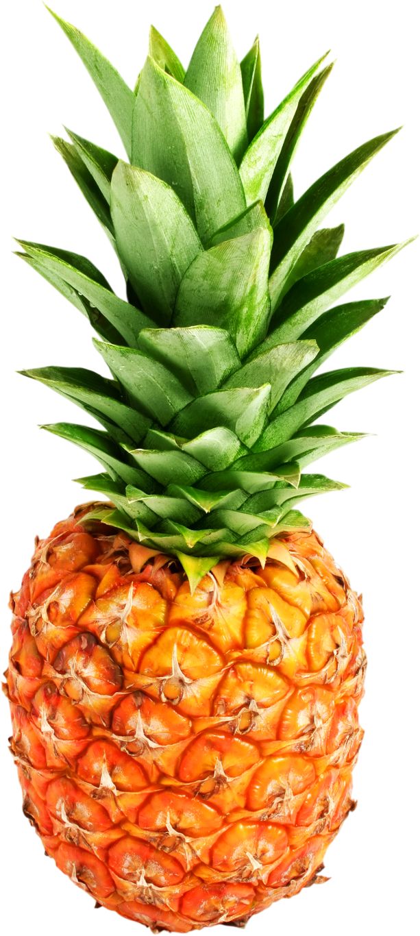 Pineapple PNG image, free download    图片编号:2728