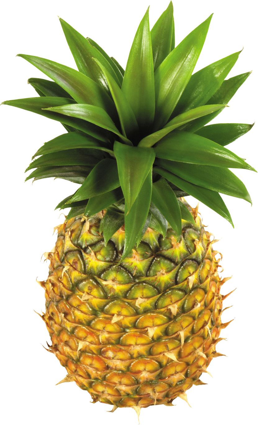 Pineapple fruit PNG image    图片编号:2733