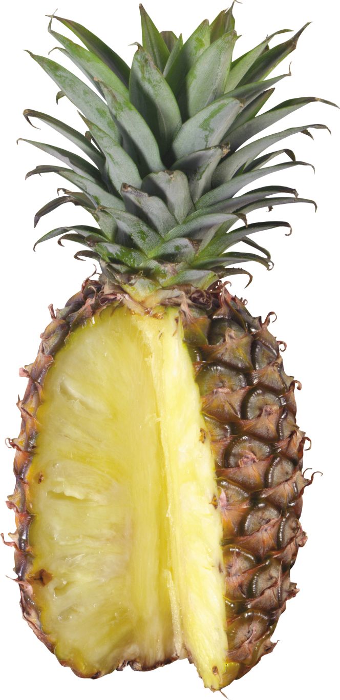 Pineapple PNG image, free download    图片编号:2734
