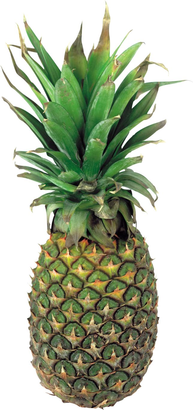 Pineapple PNG image, free download    图片编号:2736