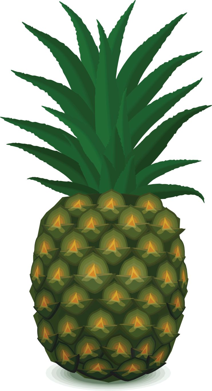 Pineapple PNG image, free download    图片编号:2737