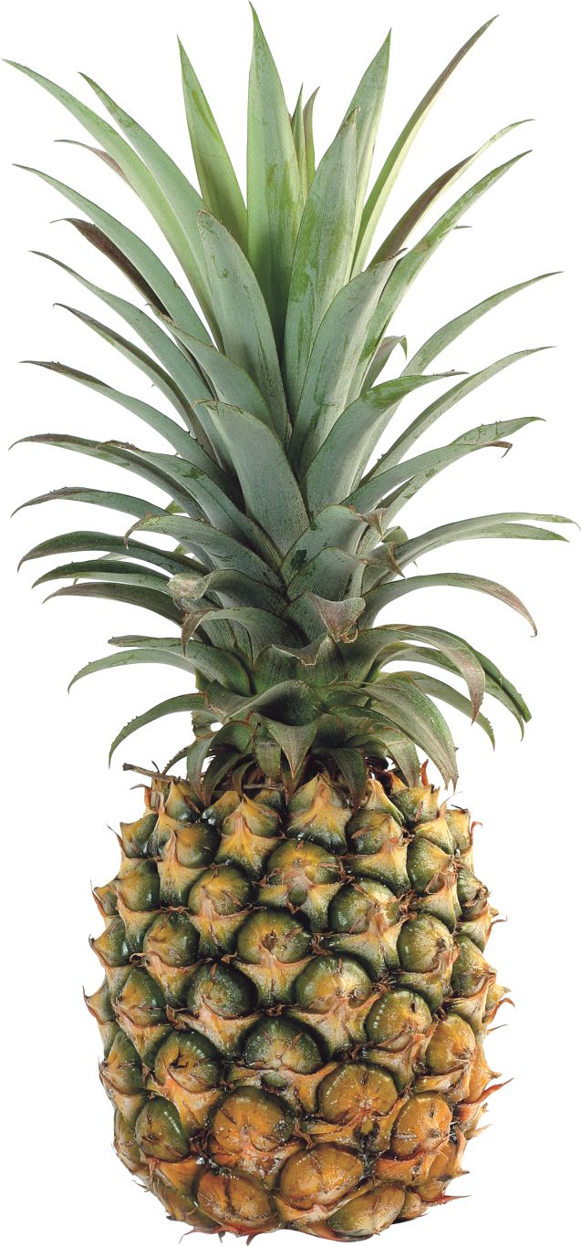 Pineapple PNG image, free download    图片编号:2739