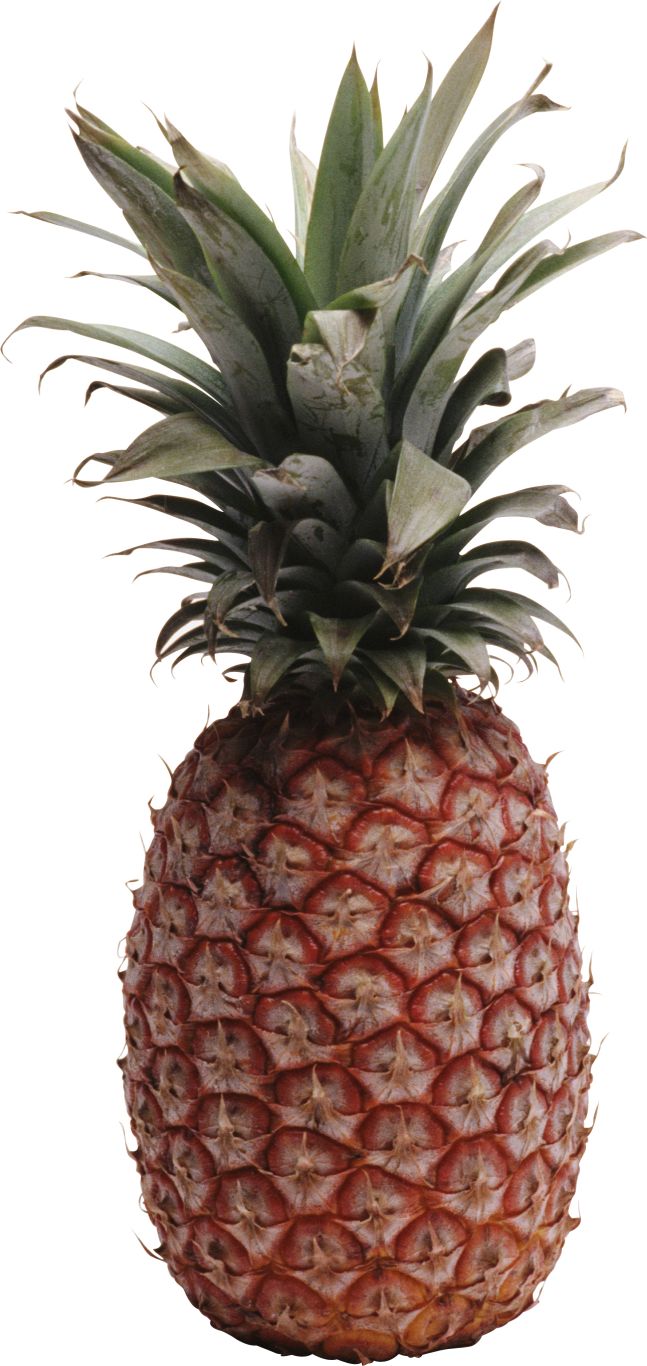 Pineapple PNG image, free download    图片编号:2745