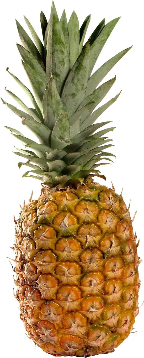 Pineapple PNG image, free download    图片编号:2746
