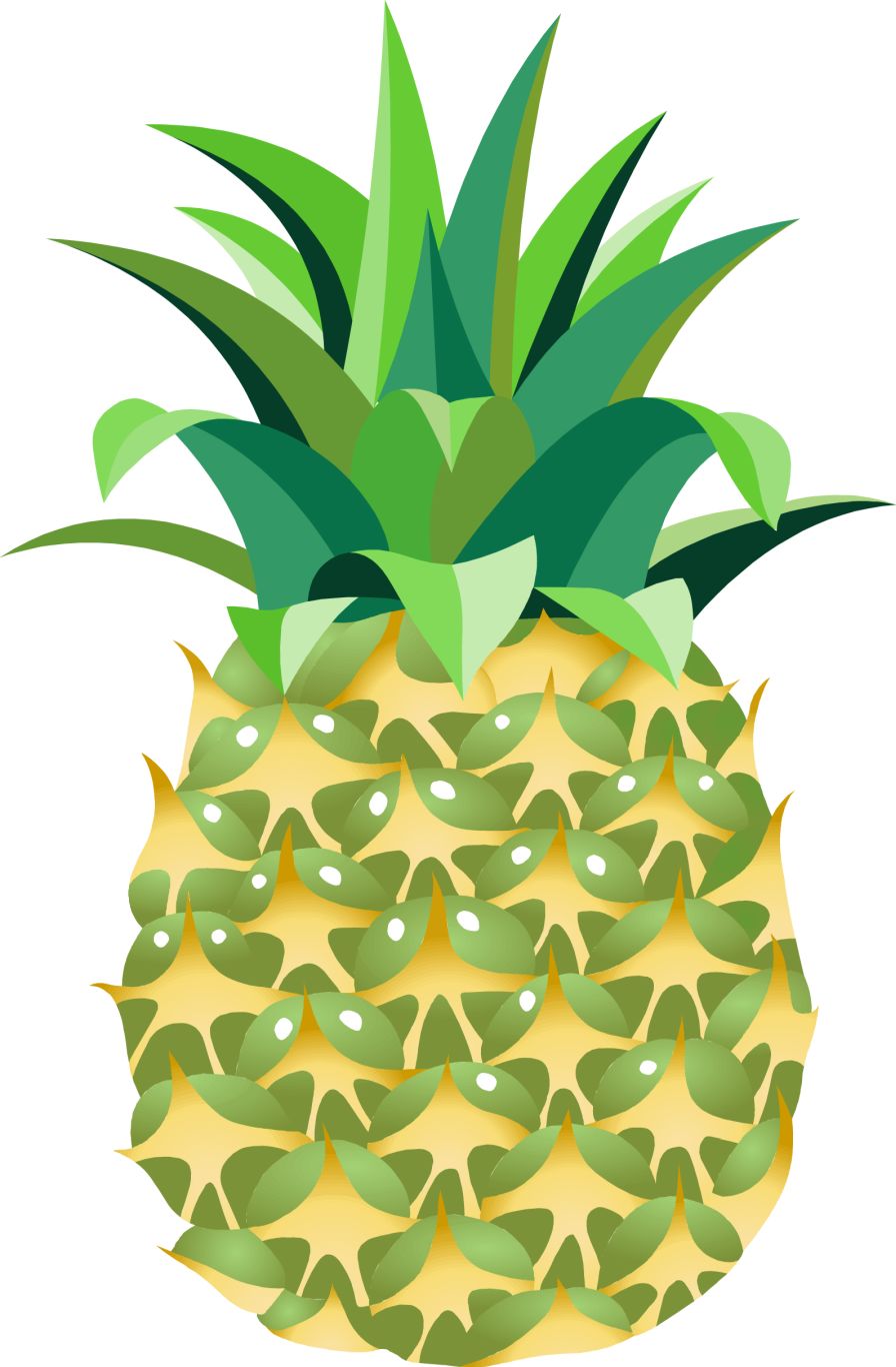 Pineapple PNG image, free download    图片编号:2748