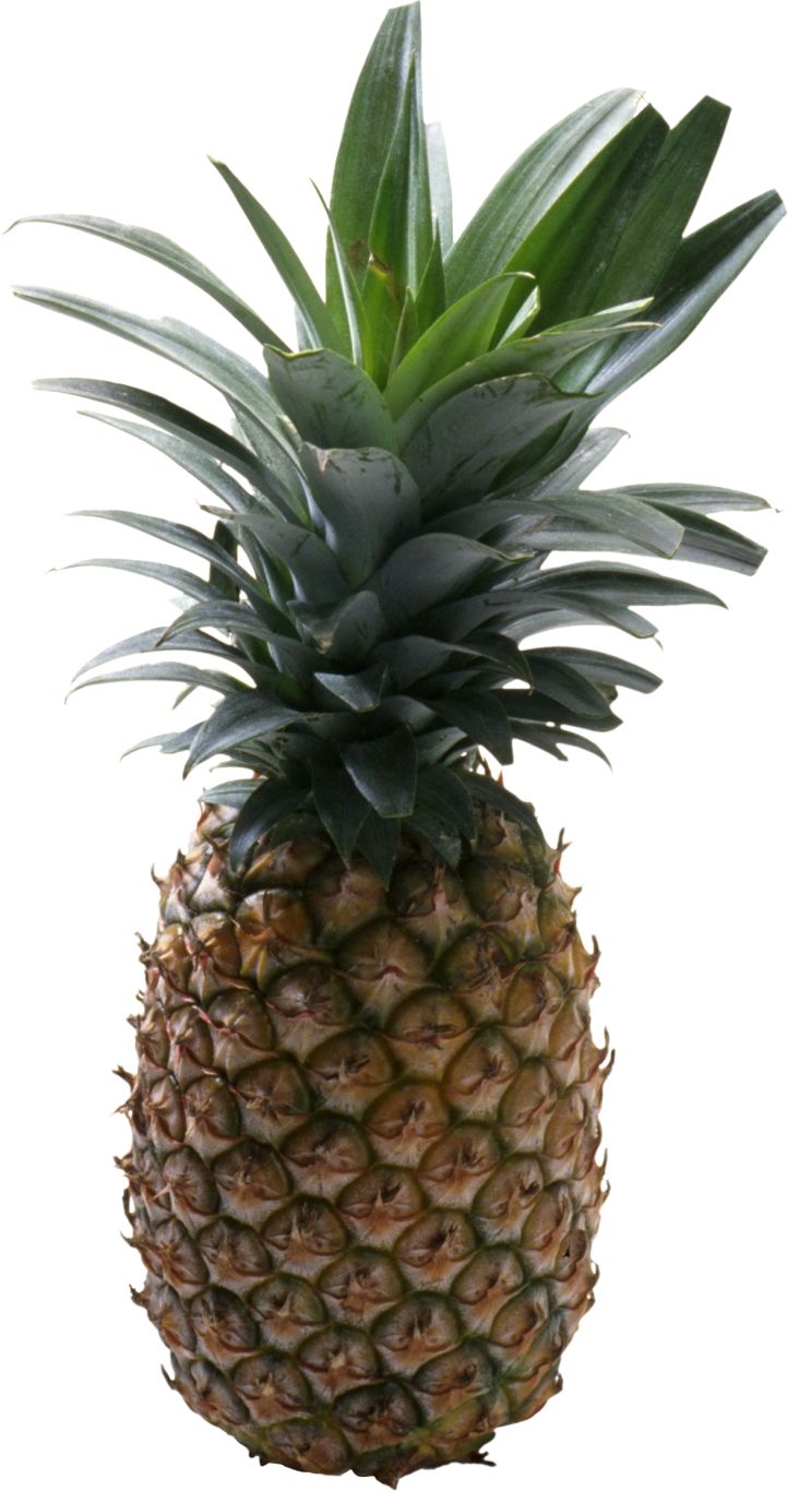 Pineapple fruit PNG image    图片编号:2749