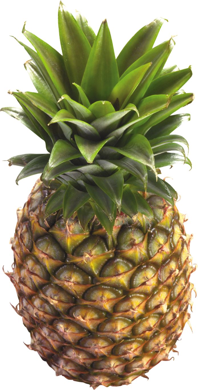 Pineapple PNG image, free download    图片编号:2750