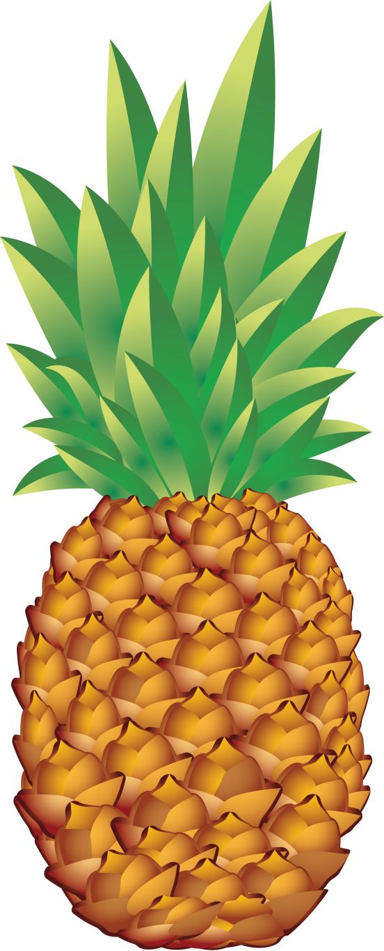 Pineapple PNG image, free download    图片编号:2752