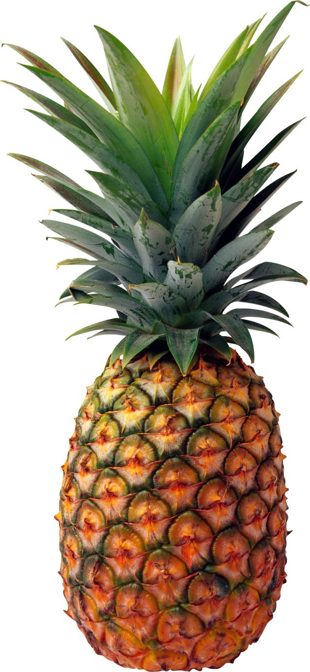 Pineapple PNG image, free download    图片编号:2756