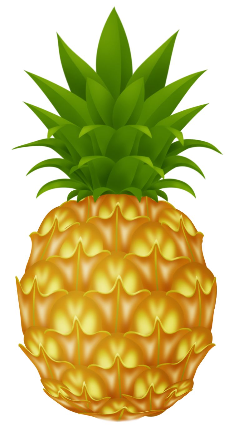 Pineapple PNG image, free download    图片编号:2760