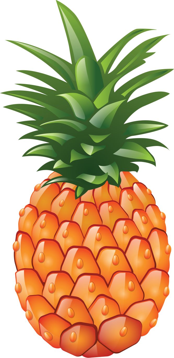 Pineapple PNG image, free download    图片编号:95134