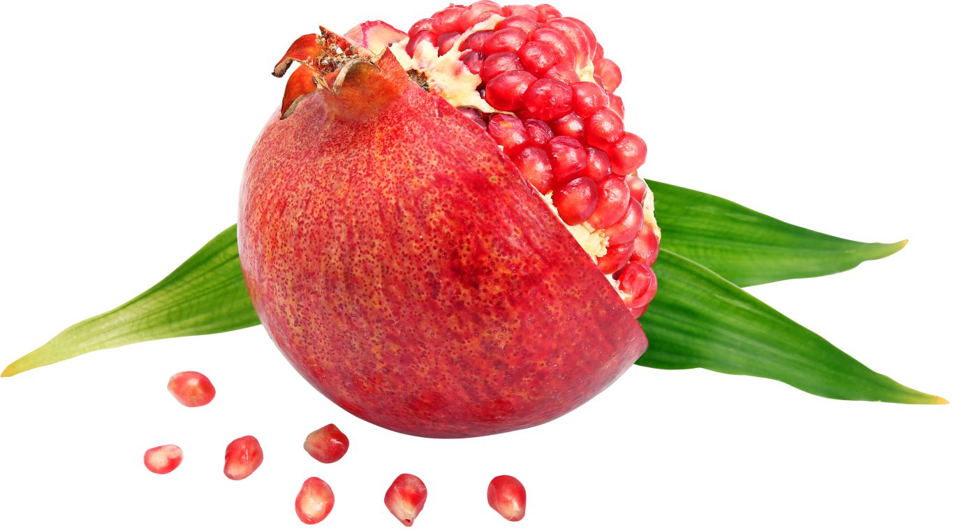 Pomegranate PNG    图片编号:83921
