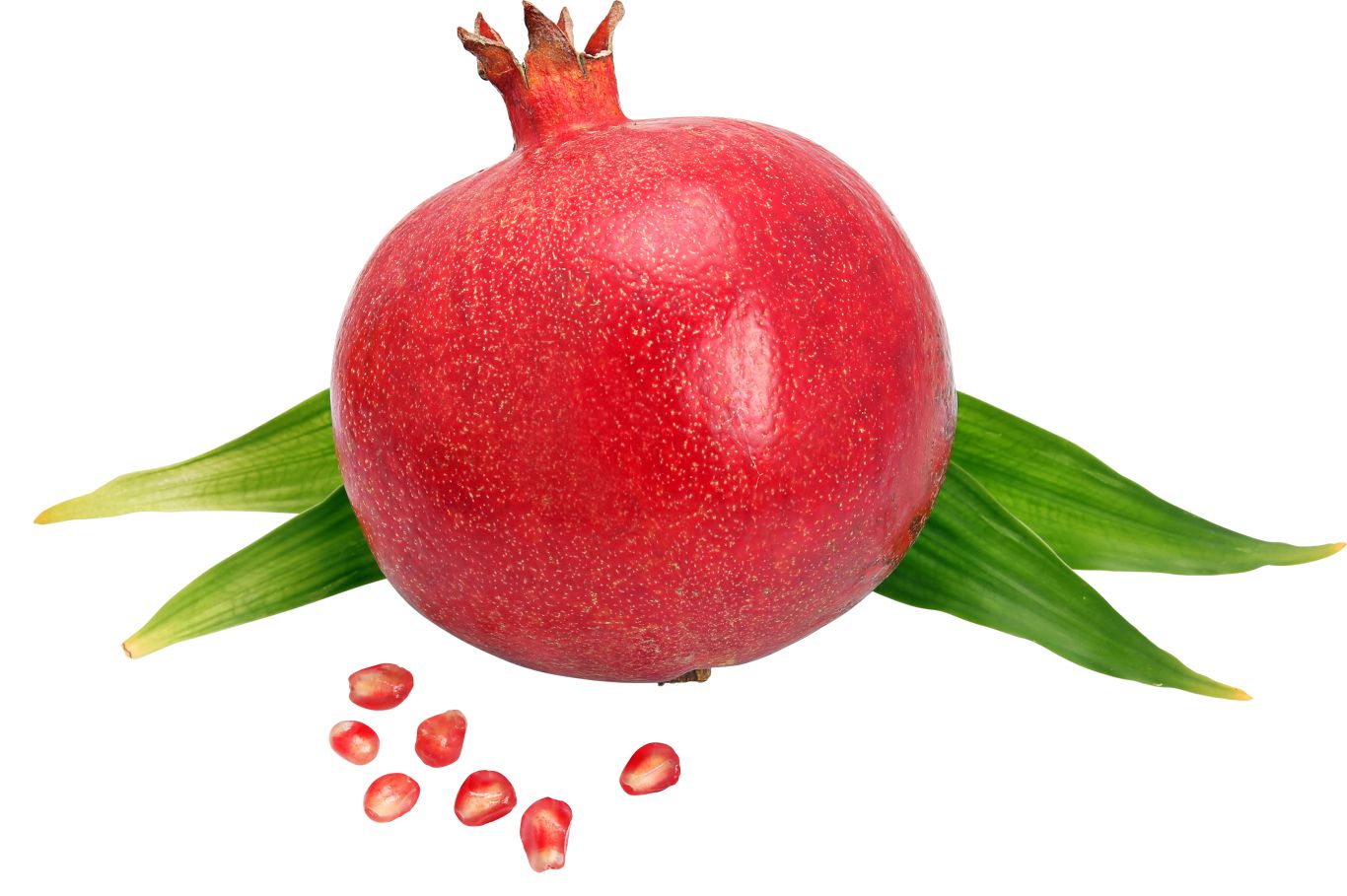 Pomegranate PNG    图片编号:83922