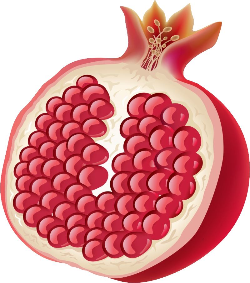 Pomegranate PNG    图片编号:83925