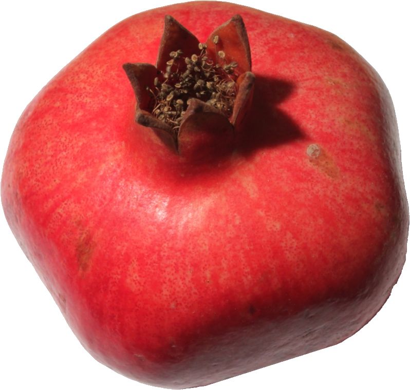 Pomegranate PNG    图片编号:83927