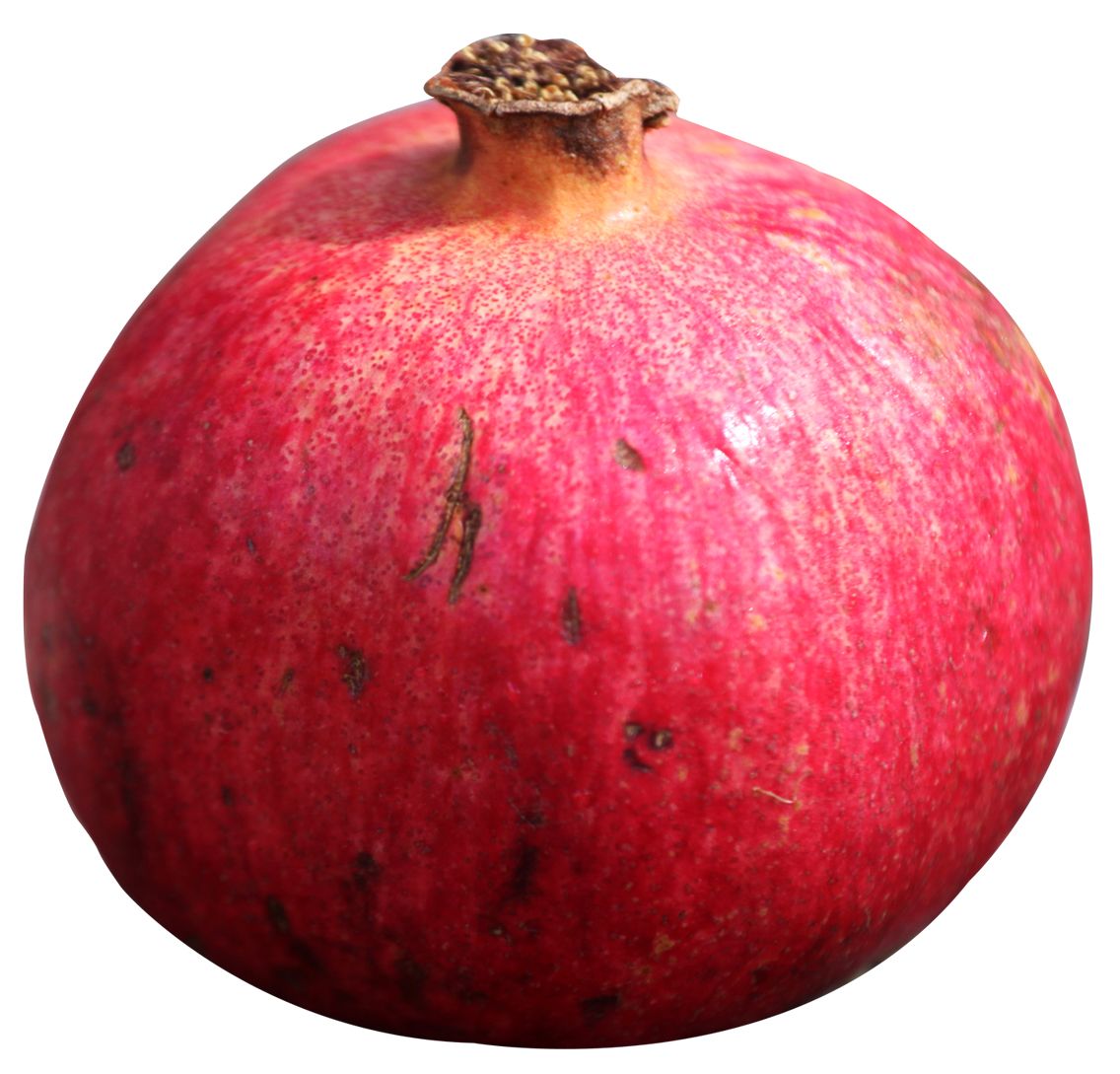 Pomegranate PNG    图片编号:83929
