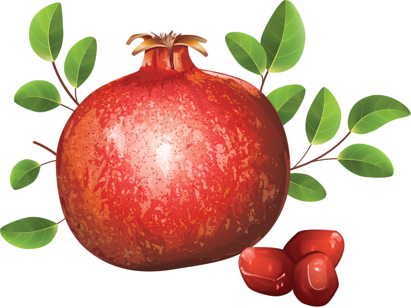 Pomegranate PNG    图片编号:83942