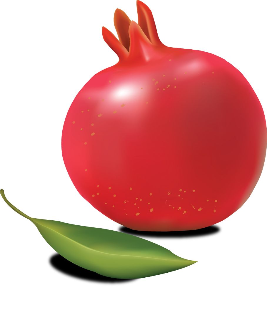 Pomegranate PNG    图片编号:83953