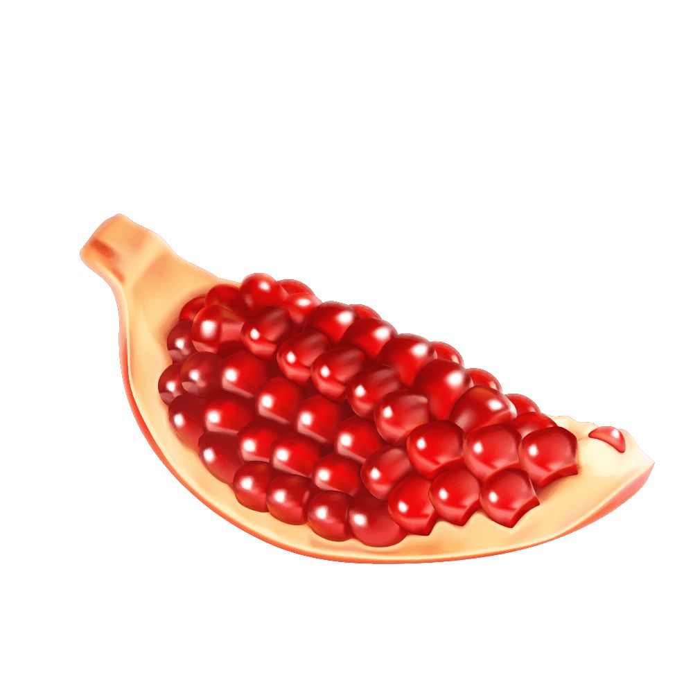 Pomegranate PNG    图片编号:83956