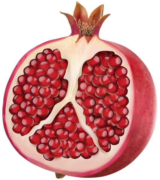 Pomegranate PNG    图片编号:83960
