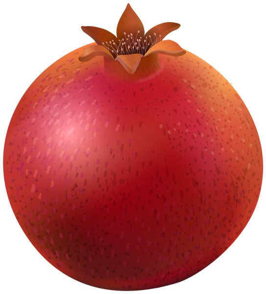 Pomegranate PNG    图片编号:83961