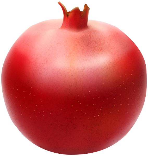 Pomegranate PNG    图片编号:83963