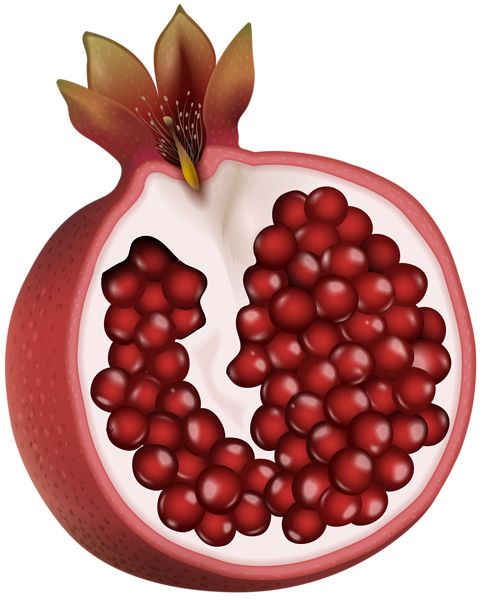 Pomegranate PNG    图片编号:83969