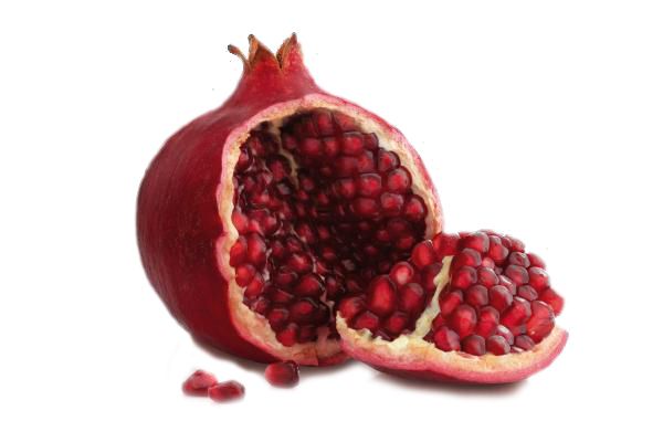 Pomegranate PNG image    图片编号:8644