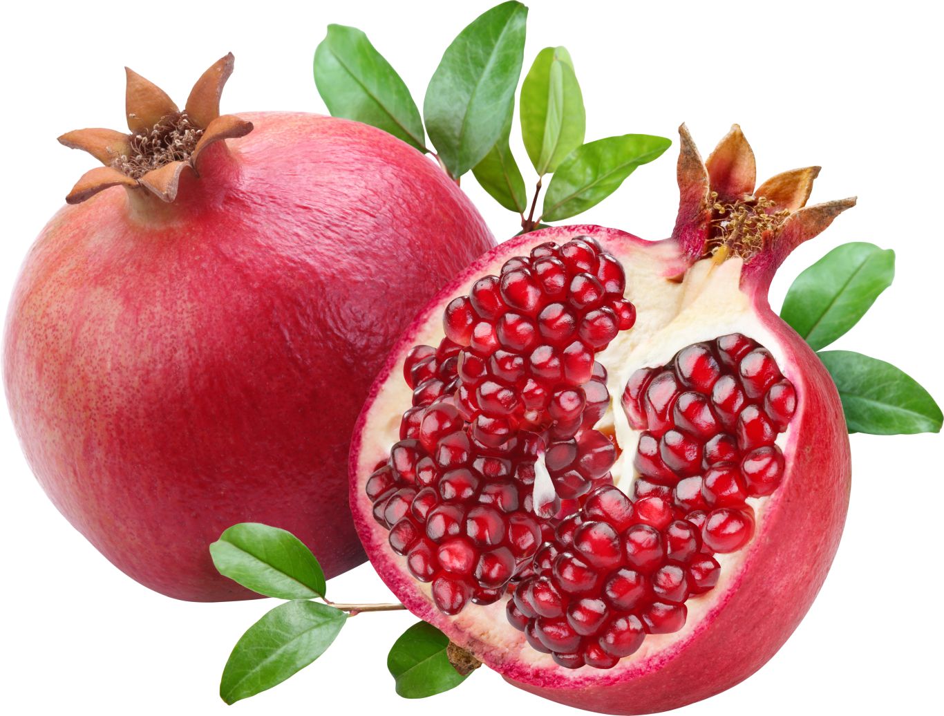 Pomegranate PNG image    图片编号:8647