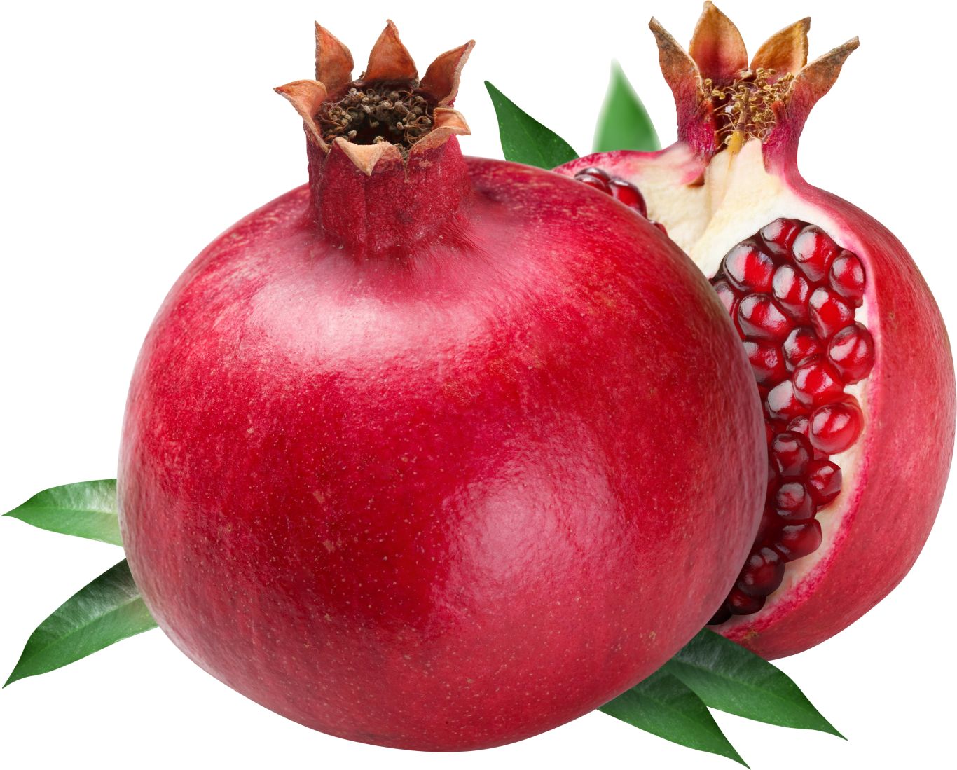 Pomegranate PNG image    图片编号:8648