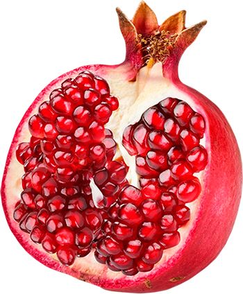 Pomegranate PNG image    图片编号:8652
