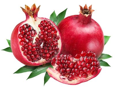 Pomegranate PNG image    图片编号:8653
