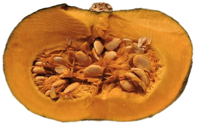 Pumpkin seeds PNG    图片编号:72984