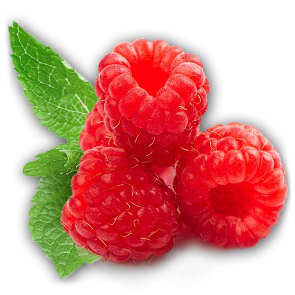 Rraspberry PNG image    图片编号:5063