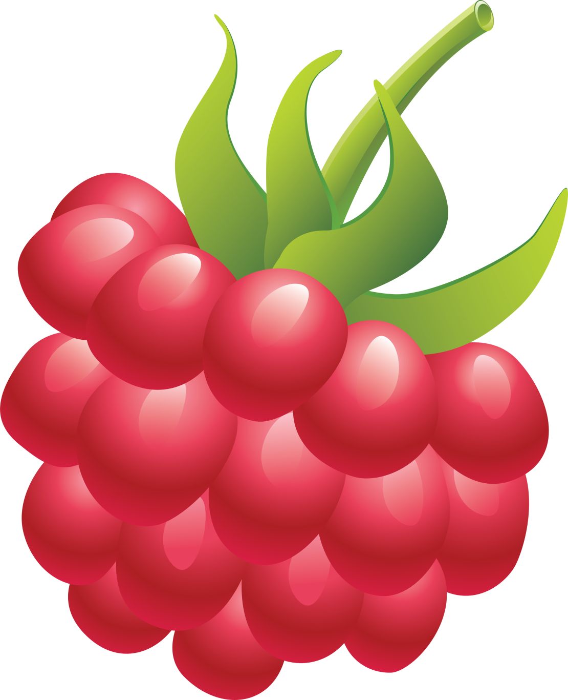 Rraspberry PNG image    图片编号:5073