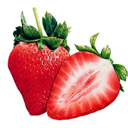 Strawberry cut PNG image    图片编号:2590