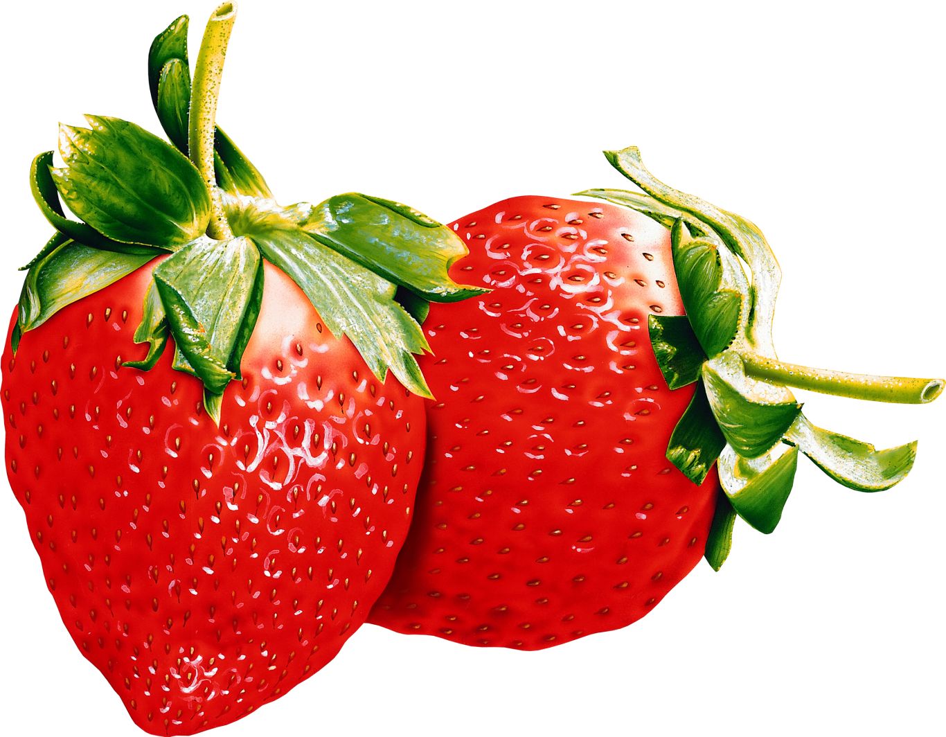 two strawberry PNG images    图片编号:2607