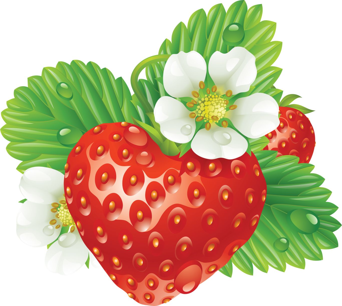 Strawberry with flower and leaves PNG    图片编号:2612