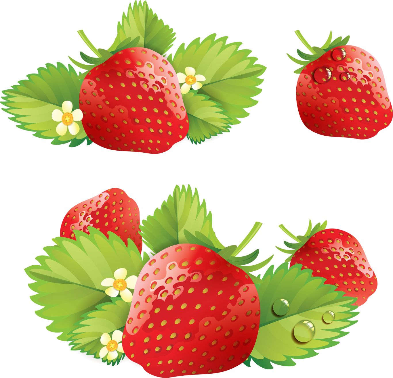 Strawberries with leaves PNG image    图片编号:2613