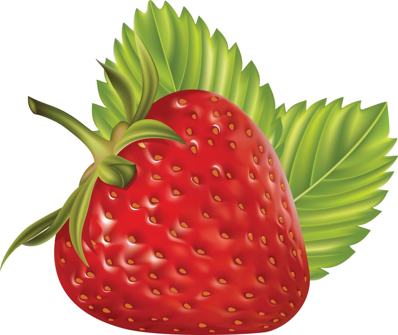 Strawberry with leaves PNG    图片编号:2618