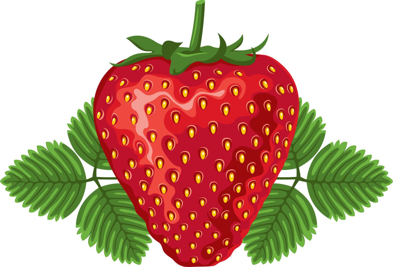 Strawberry with leaves PNG image    图片编号:2623