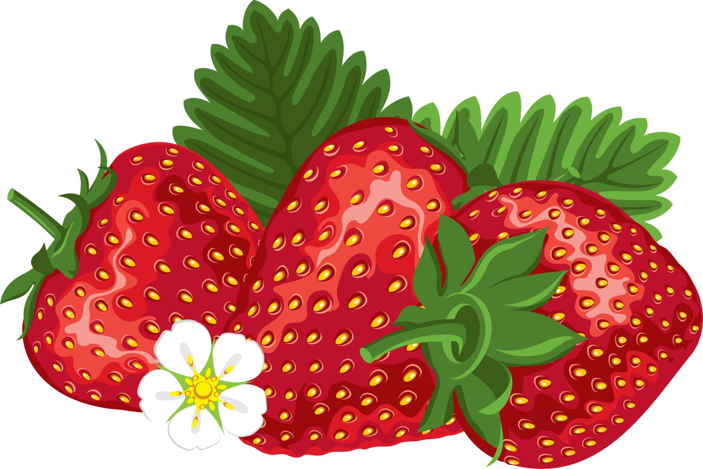 three Strawberries PNG image    图片编号:2625