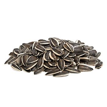 Sunflower seeds PNG    图片编号:42960