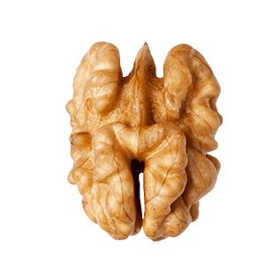 Walnut PNG    图片编号:22883