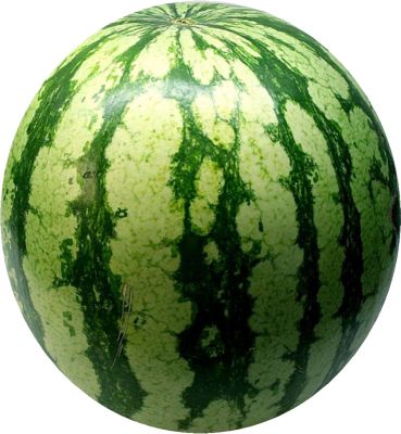 watermelon PNG image, picture, download    图片编号:236